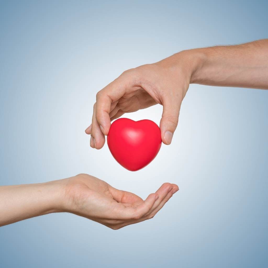 TEAL_donate